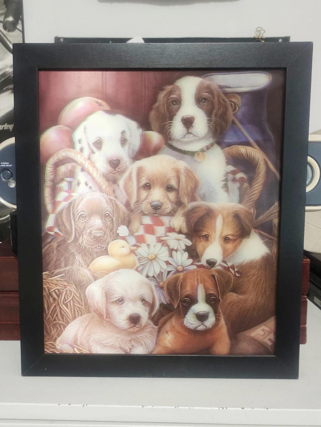 Framed Print of Puppies
