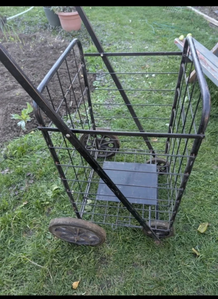 Shopping Cart Trolley