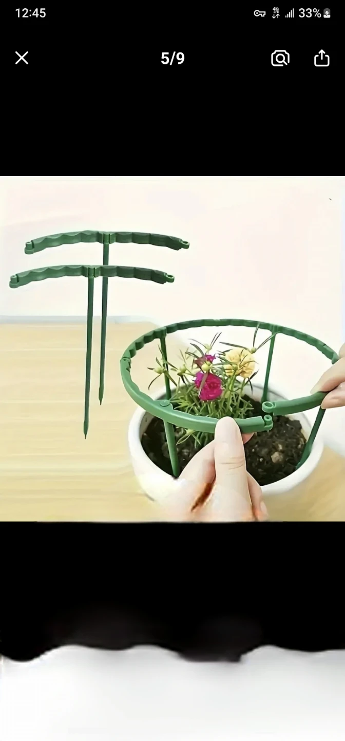 8pcs Estacas de Soporte para Plantas de Invernadero,