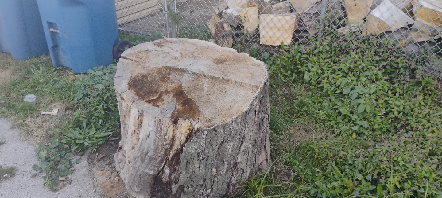 Firewood Logs and Tree Stump - photo 2