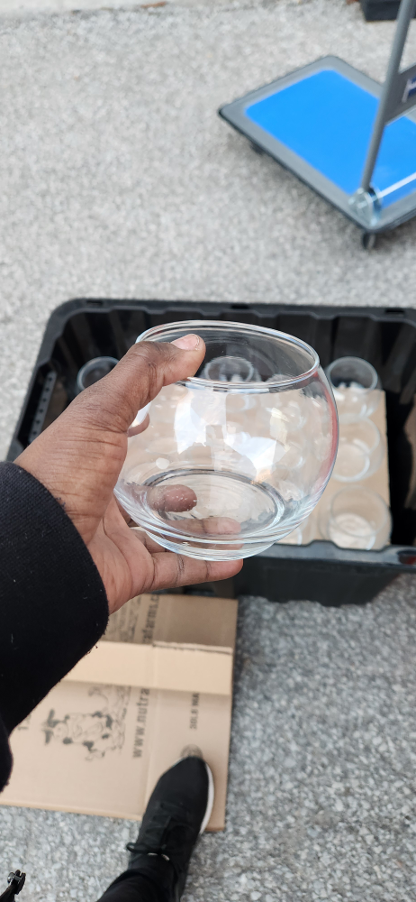 Clear Glass Round Vase (fish bowl vase)