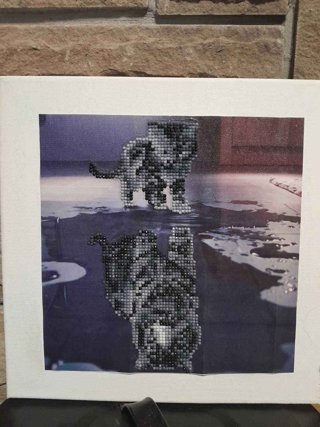 Diamond Art Painting - Cat Reflection