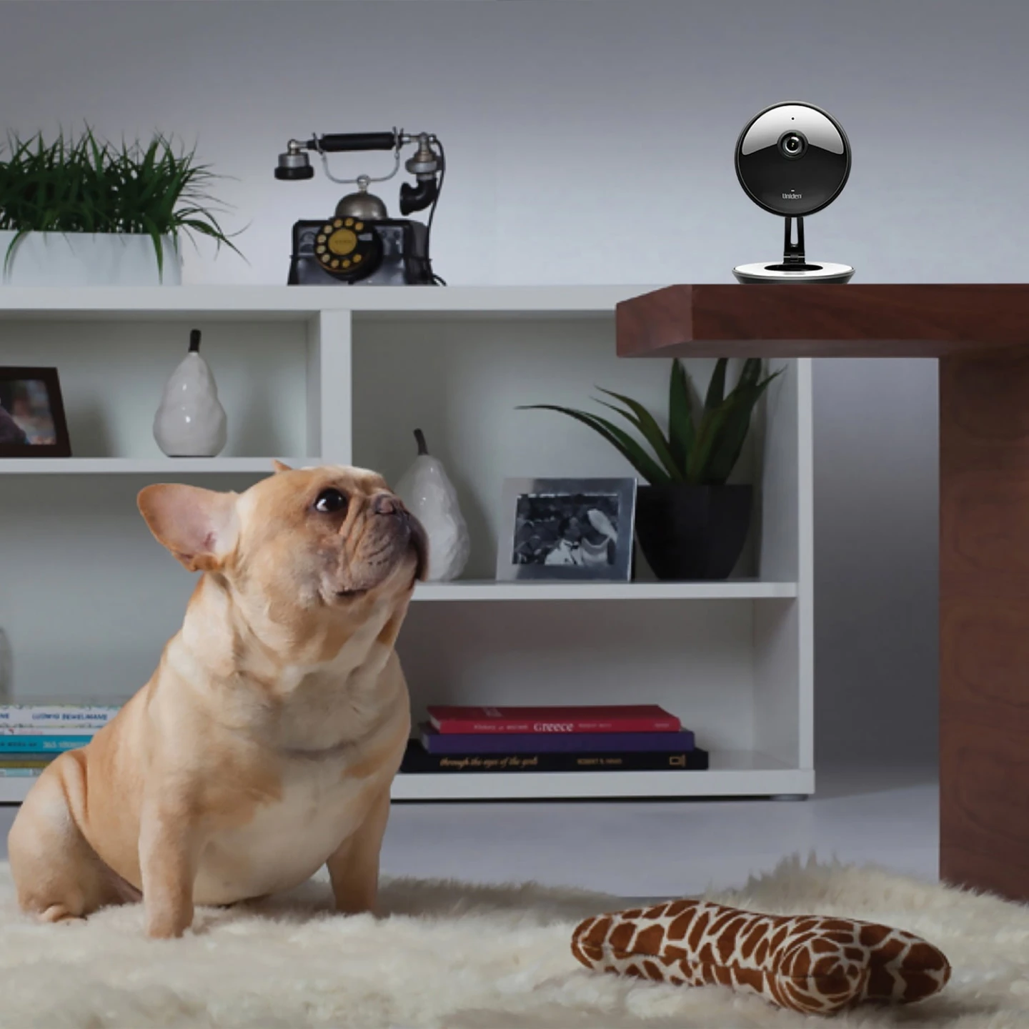 Uniden UC4402 Security Cloud System with 5-Port PoE Switch - photo 2