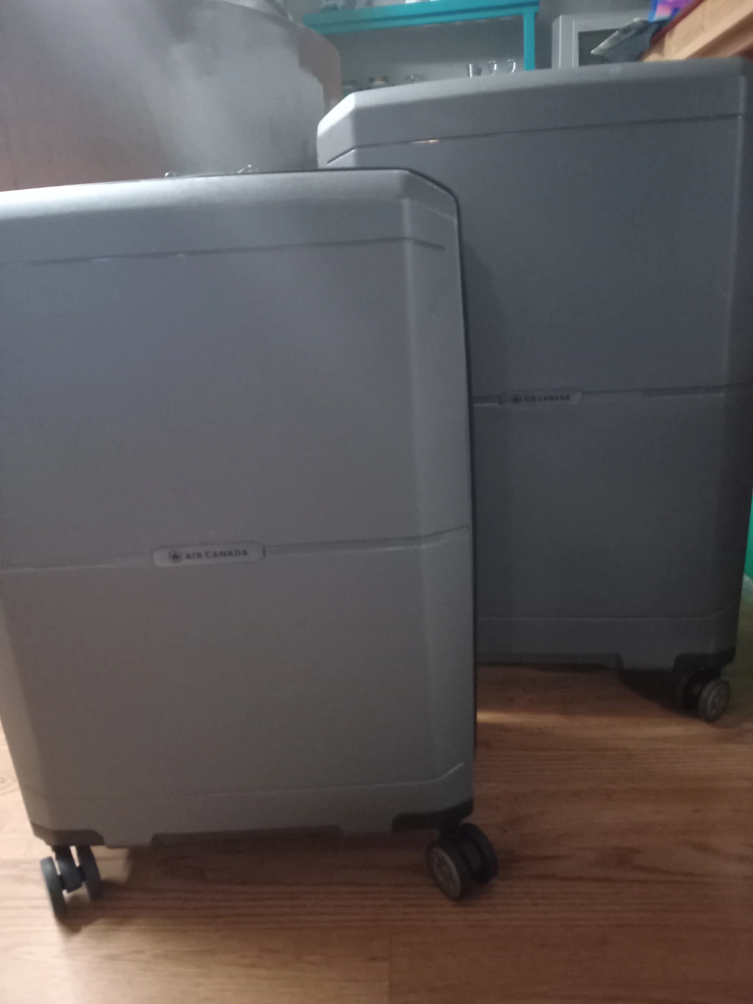 Air Canada Grey Hardside Spinner Luggage Set