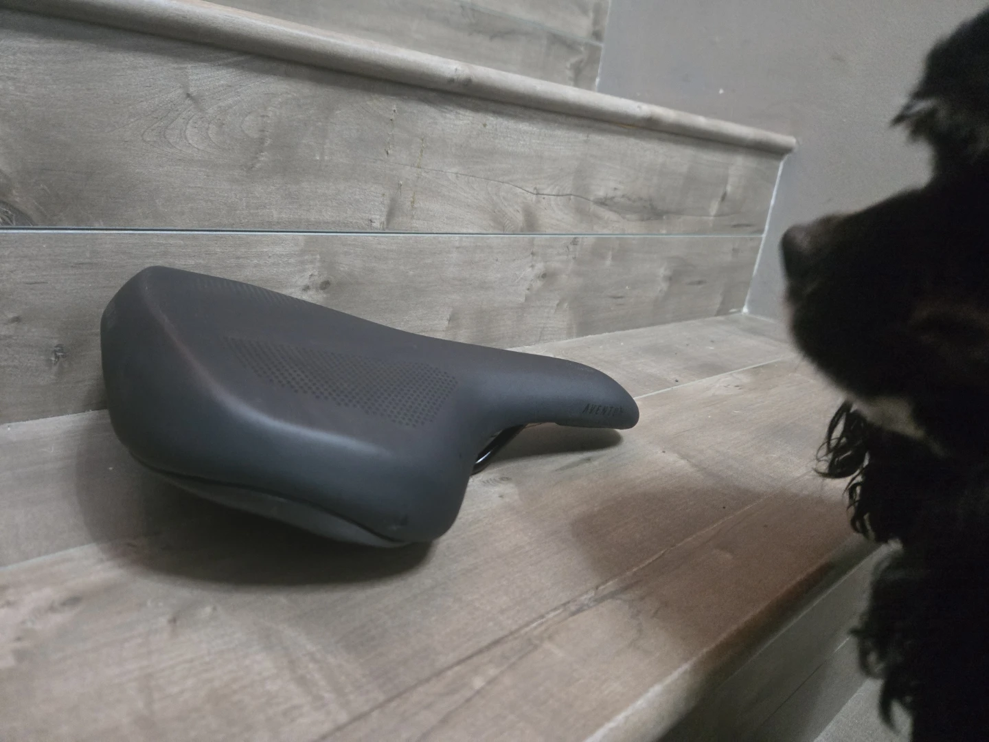 Aventon Bike Seat - Black - photo 3