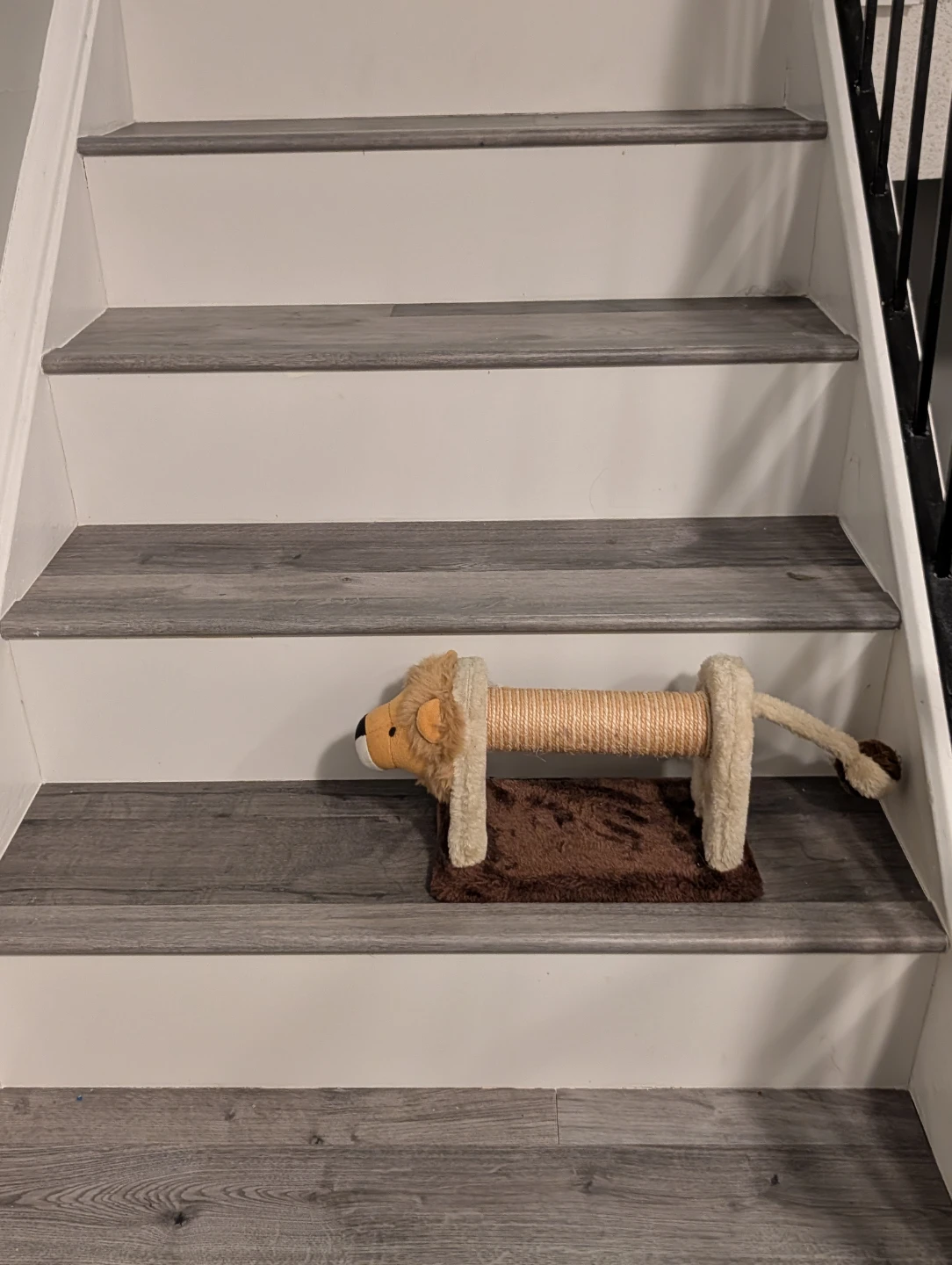 Lion Cat Scratcher Toy