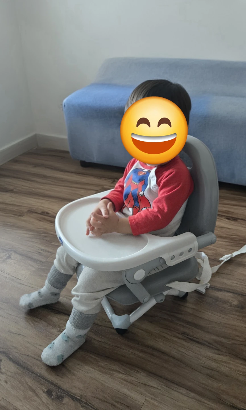 Chicco Grey and White Booster Seat - photo 2