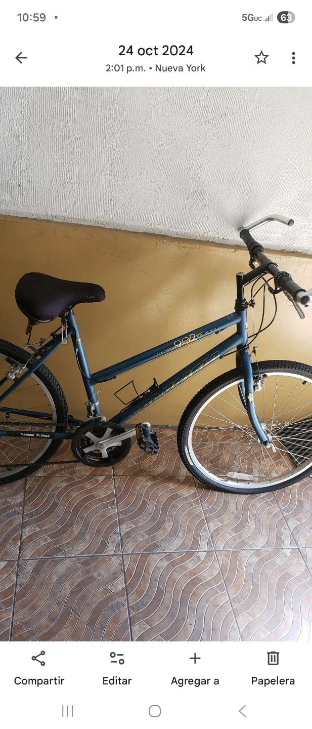 Bike adult