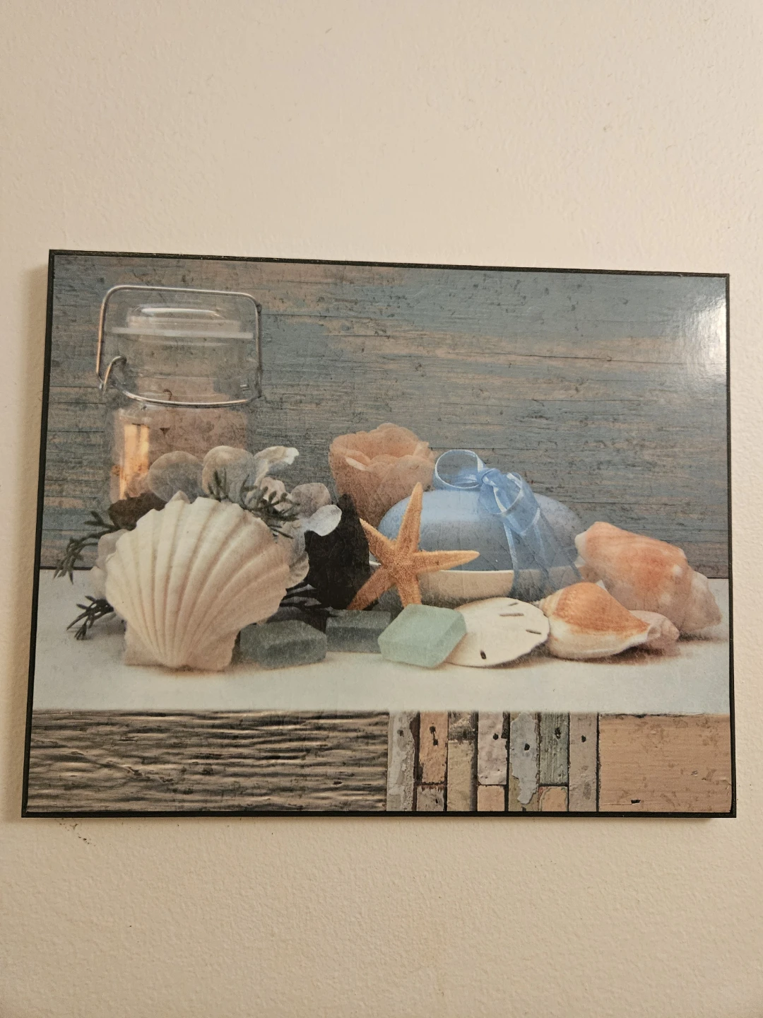 Seashell Wall Art- MOVING SALE!
