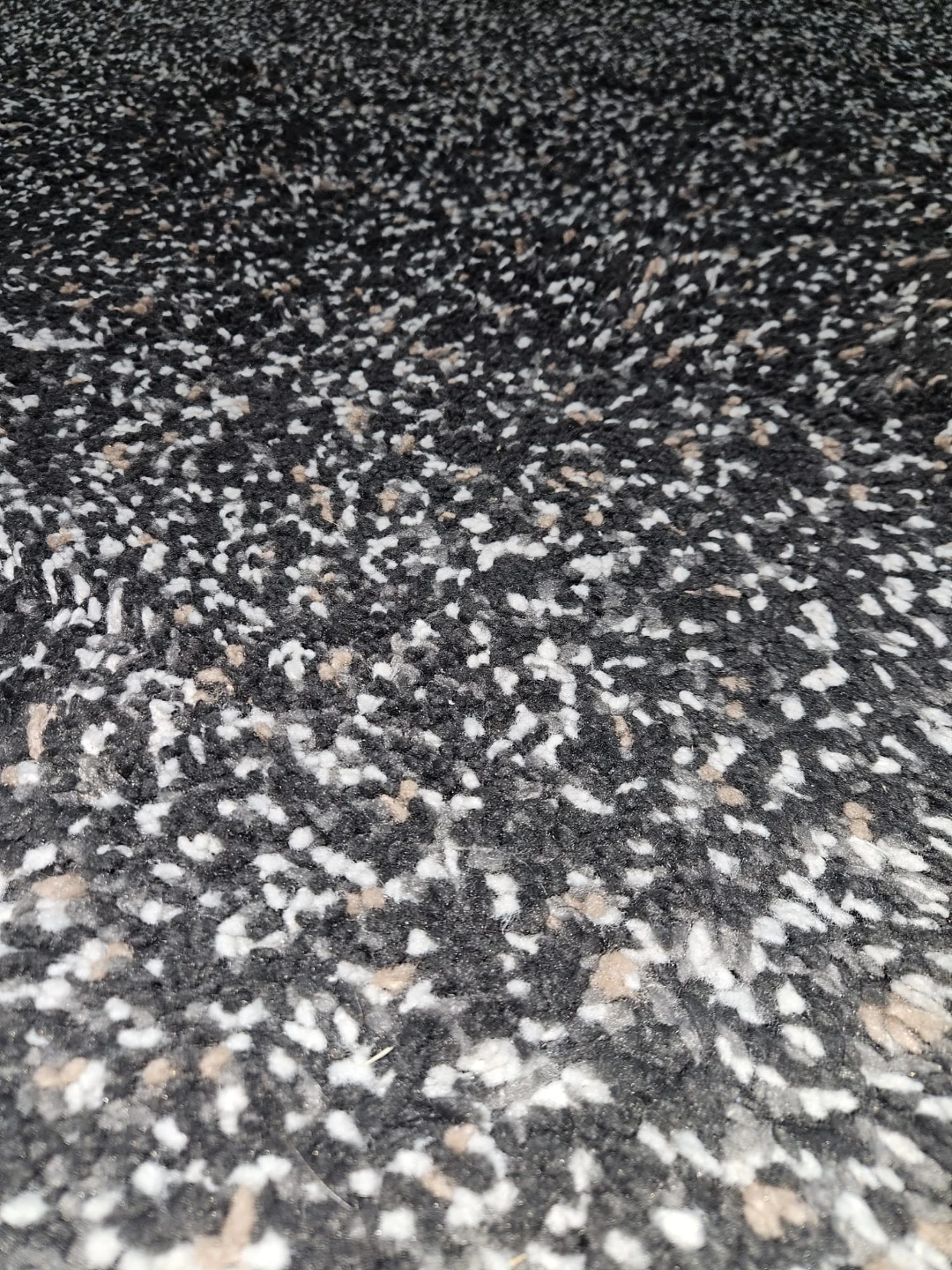 Fluffy Area Rug - photo 2