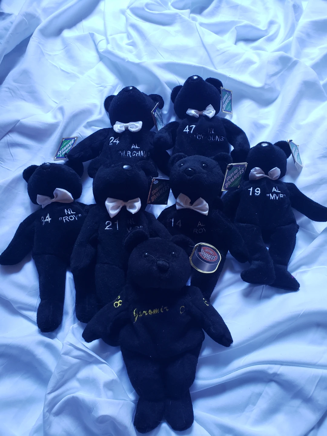 Shawinigan Cataractes Souvenir Bear Collection