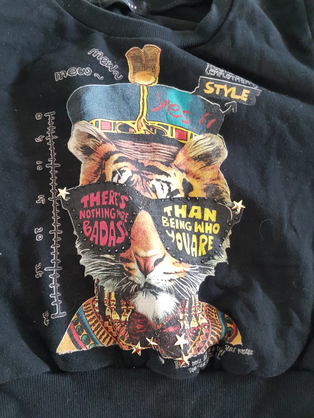 Pink Tiger Graphic Sweatshirt - photo 4