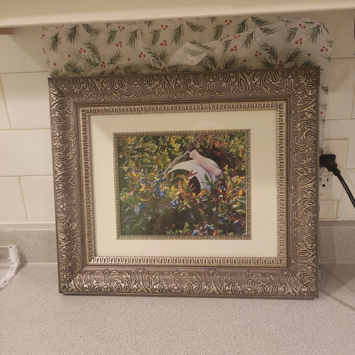 Framed Picture