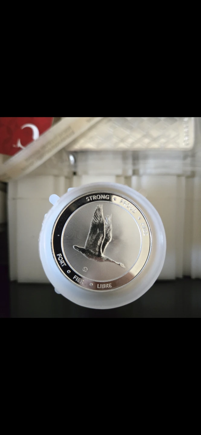 Silver rounds at spot - photo 2