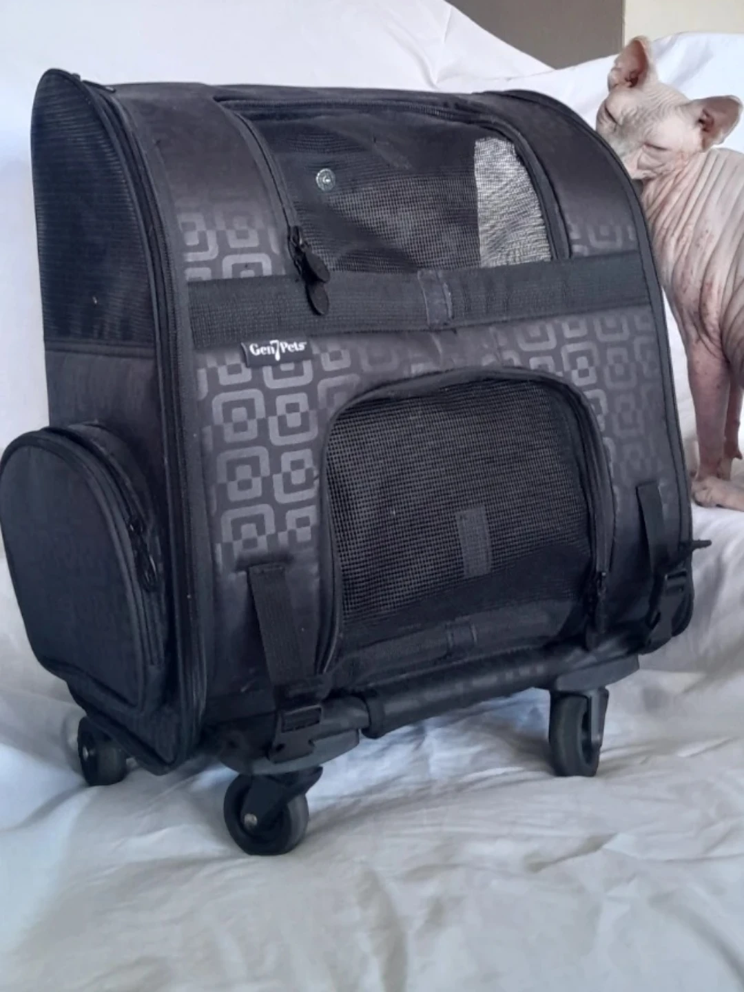 Gen7Pets Roller Pet Carrier