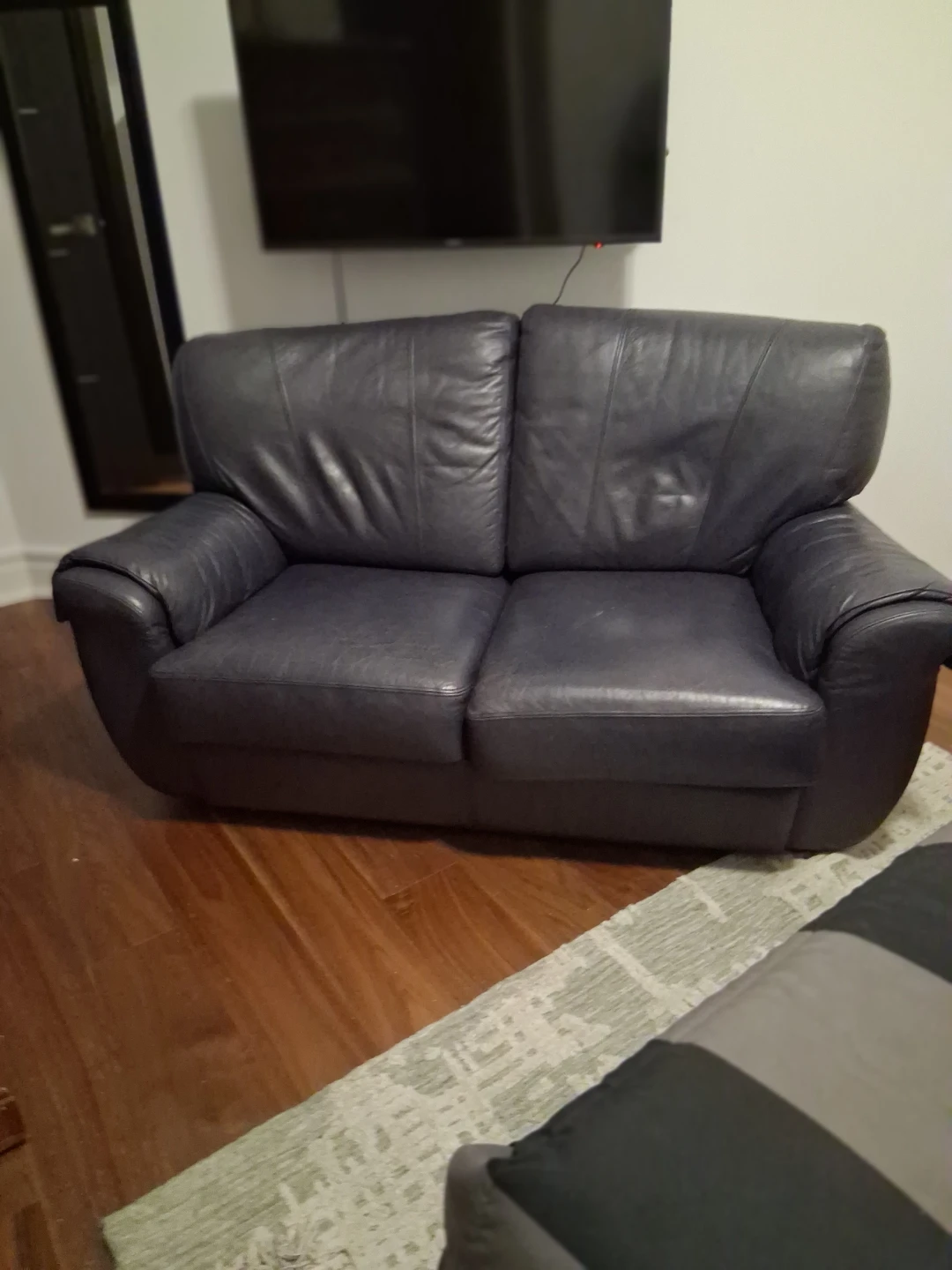 Antonino Vittorio Leather Loveseat Sofa