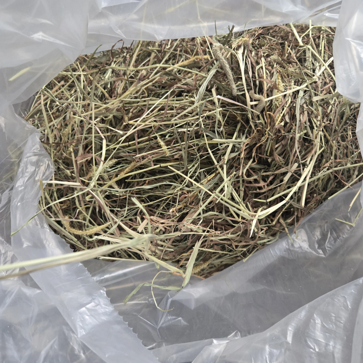 2024 2nd Cut Timothy Hay - Half Bale