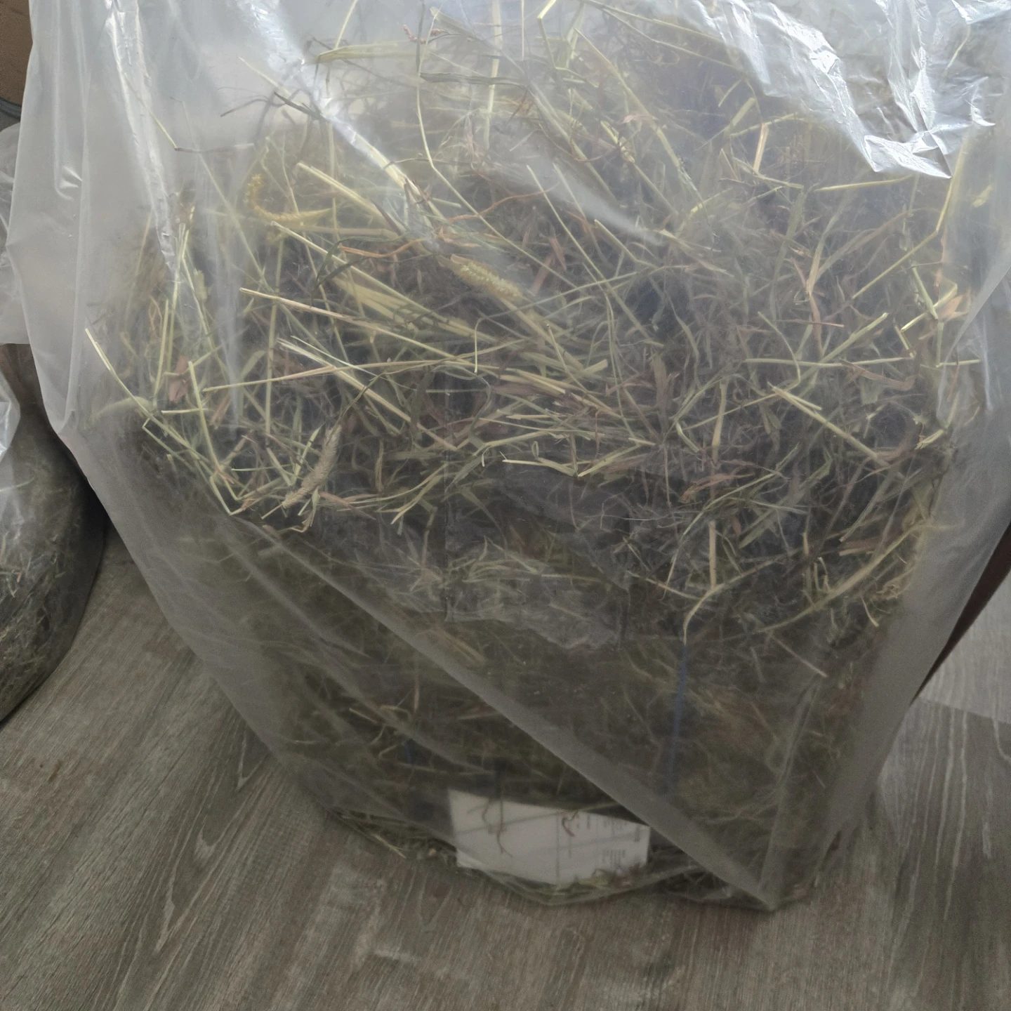 2024 2nd Cut Timothy Hay - Half Bale - photo 2