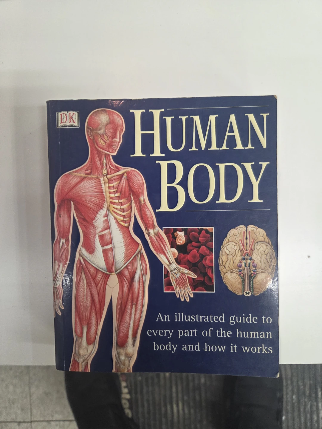 Human Body: An Illustrated Guide Book