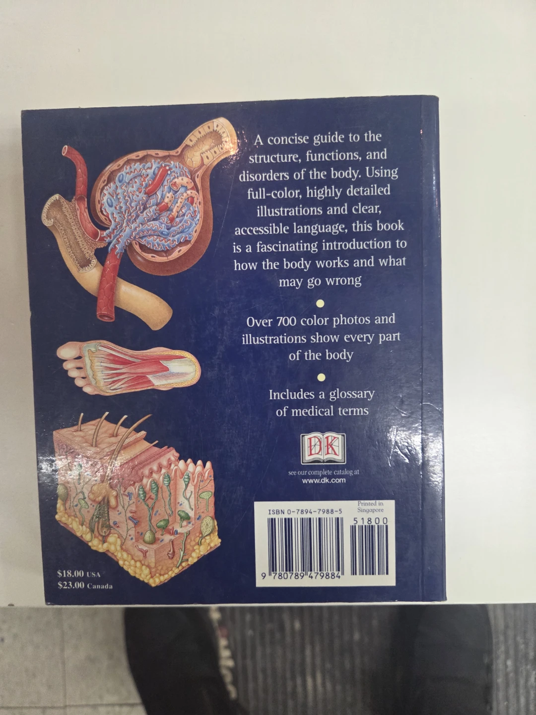 Human Body: An Illustrated Guide Book - photo 3