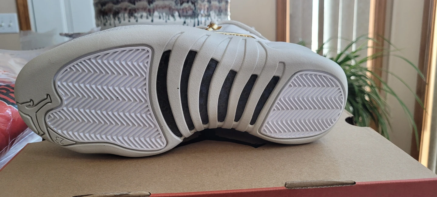 New never worn Jordan retro 12 - photo 4