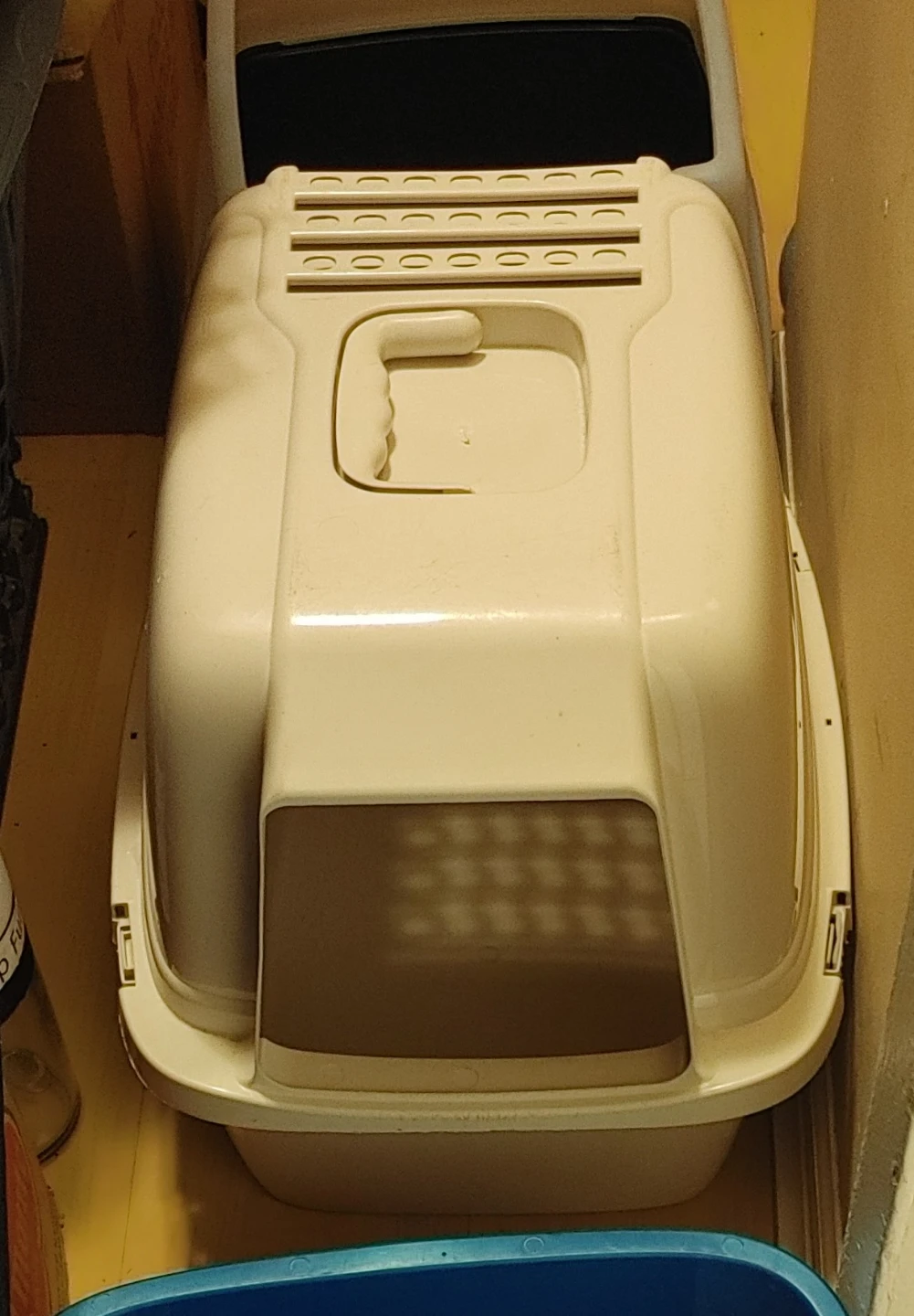 Cat Litter Box with removable cover. Recently super sanitized.