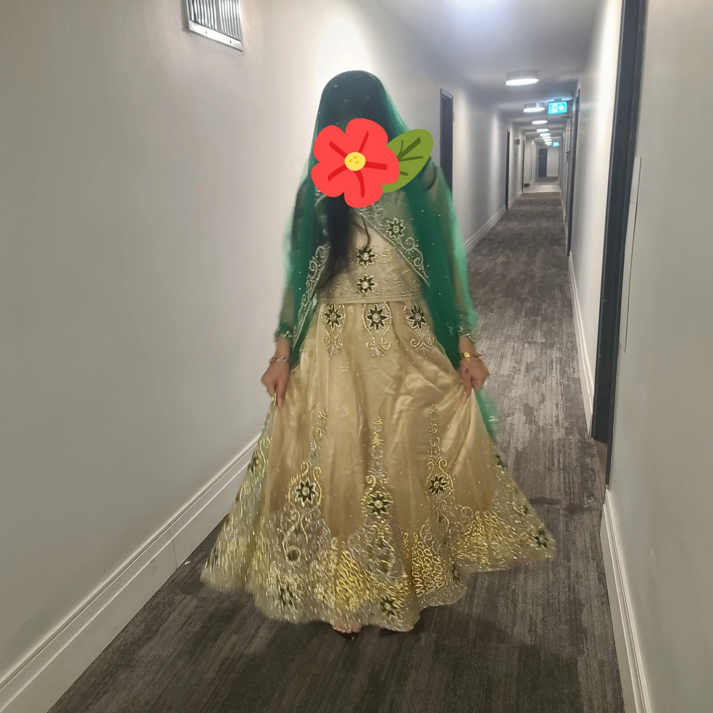 Embroidered Lehenga Choli with Dupatta