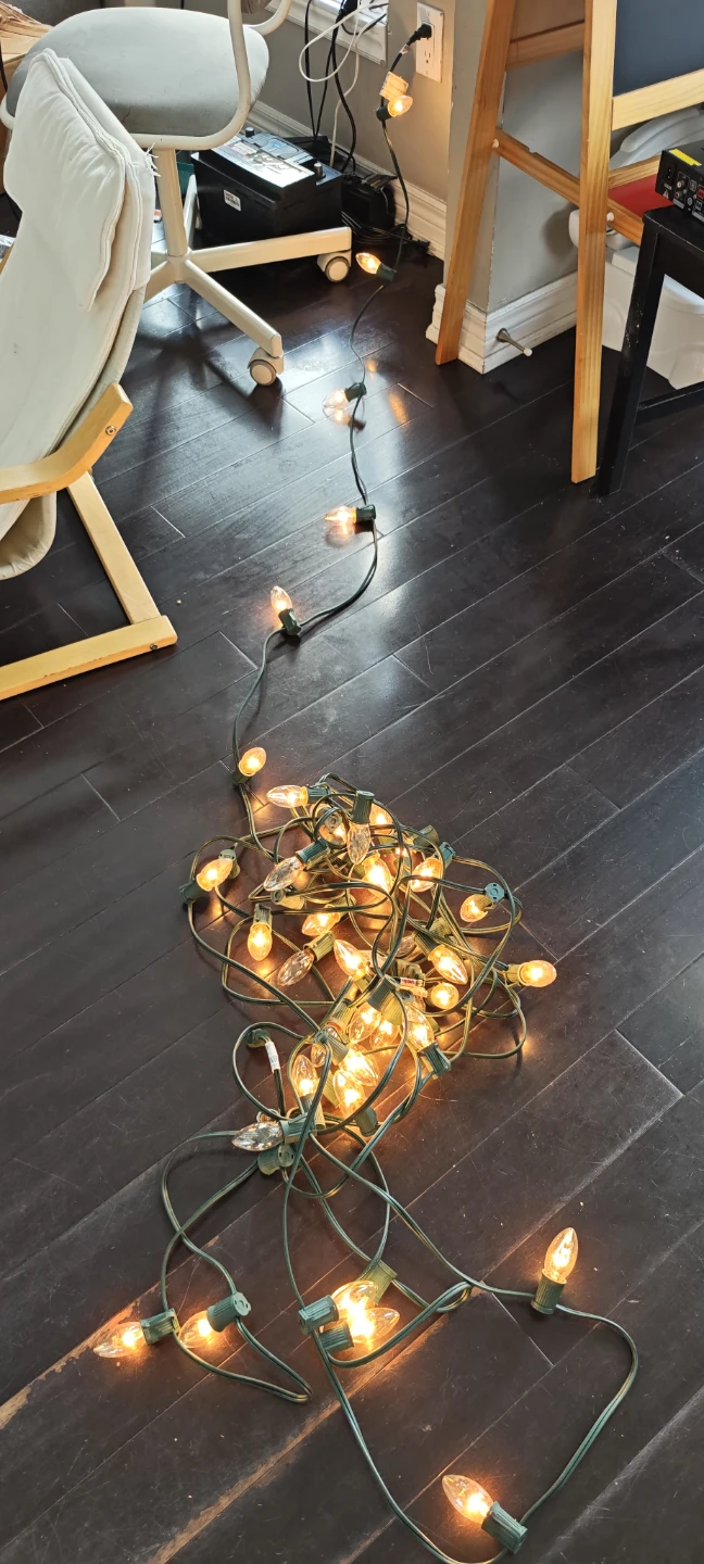 String Lights - Indoor/Outdoor