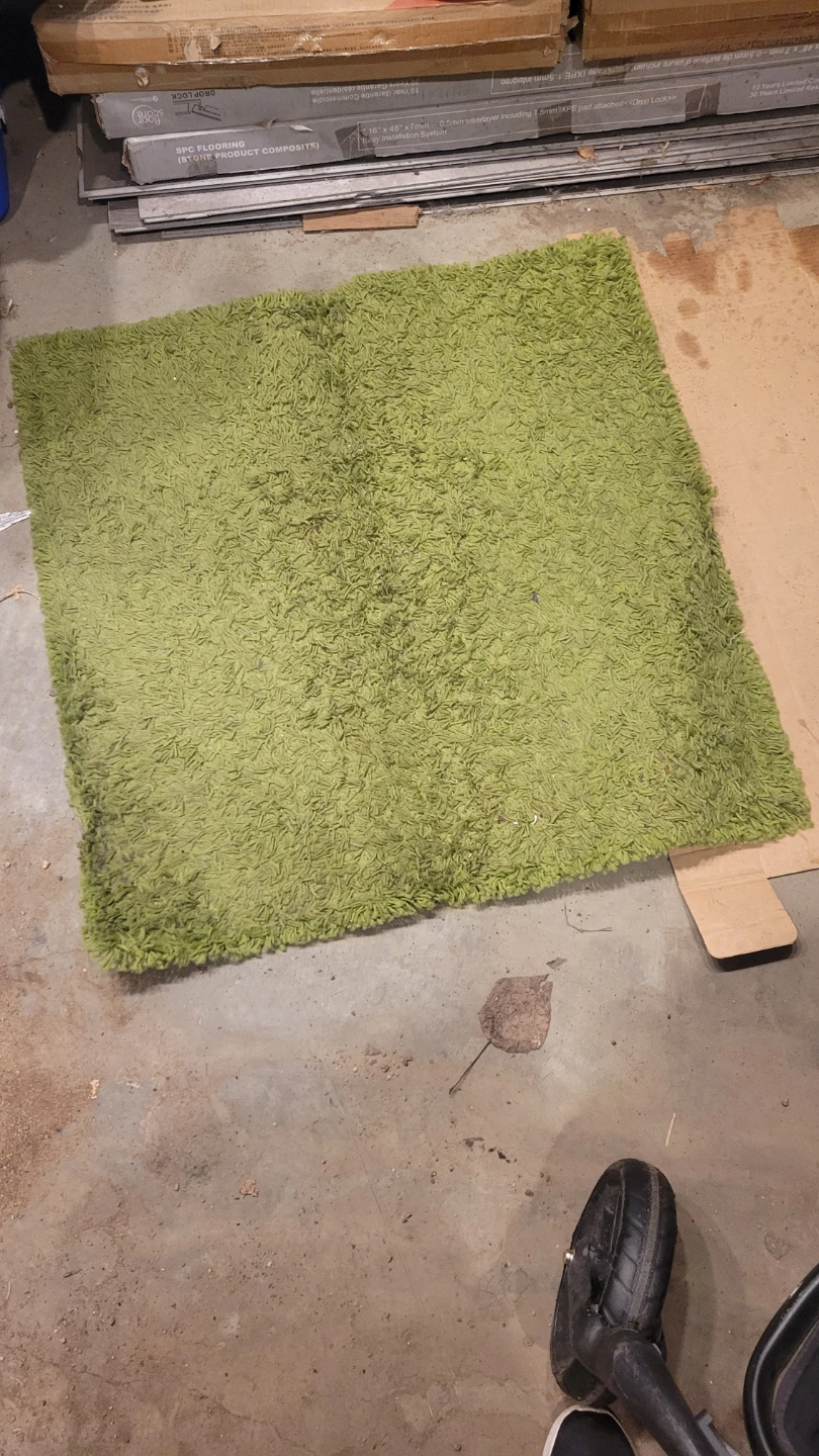 Shaggy Rug