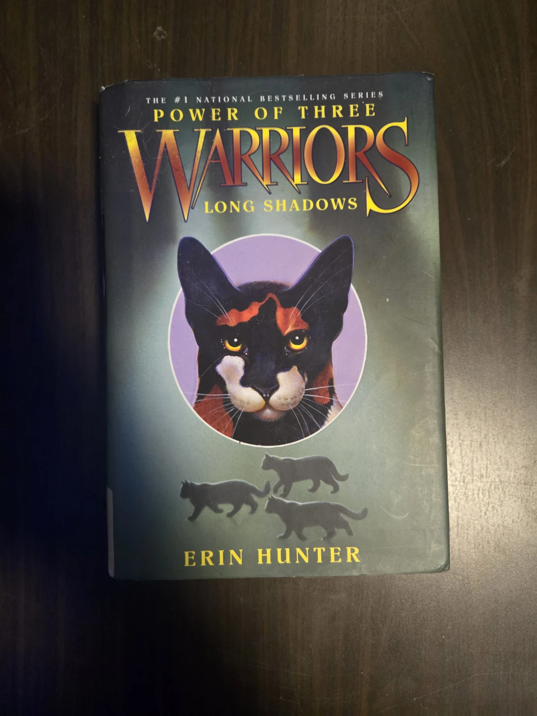 Warriors Book Series by Erin Hunter - photo 3