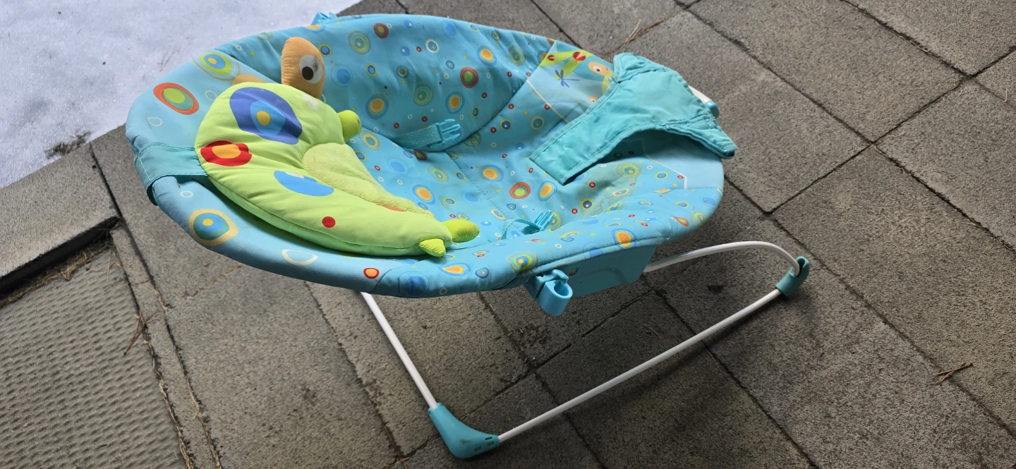 Baby Einstein Bouncer - photo 3