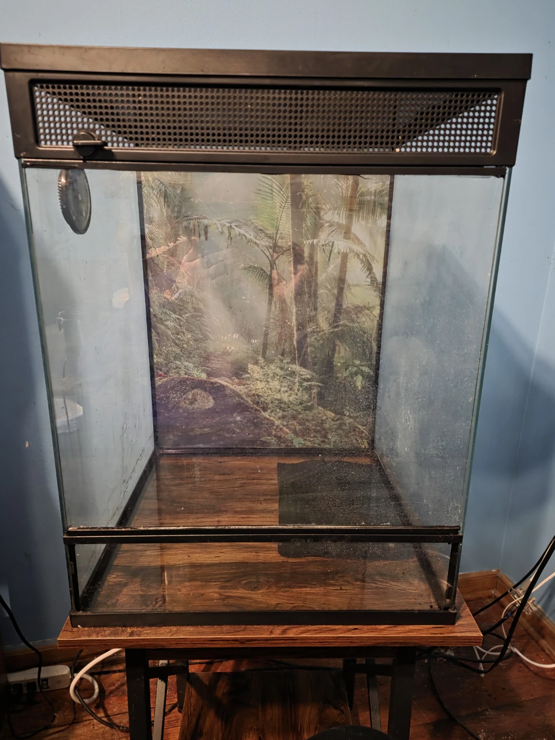 Used Terrarium Reptile Habitat