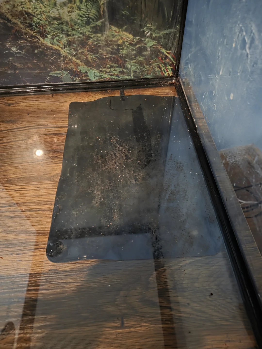 Used Terrarium Reptile Habitat - photo 3
