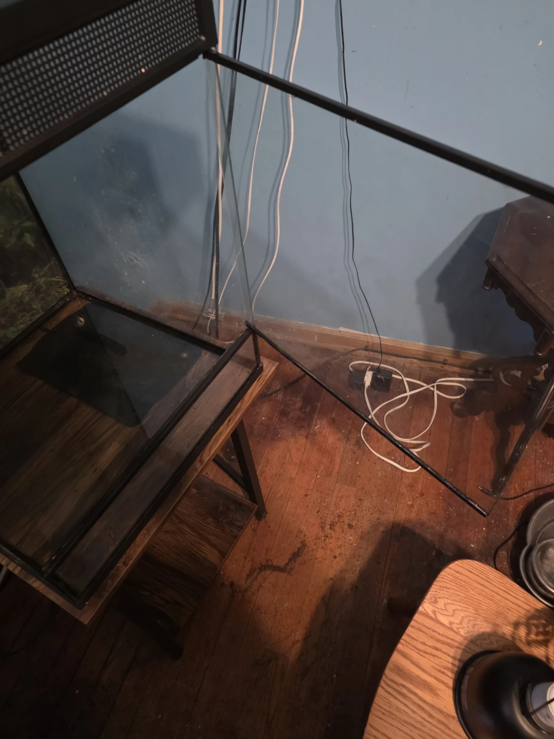 Used Terrarium Reptile Habitat - photo 5