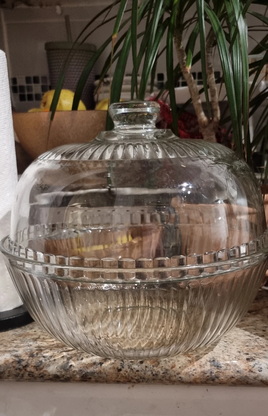 NEED TO GO!!! Glass Container with Dome Lid 🧡