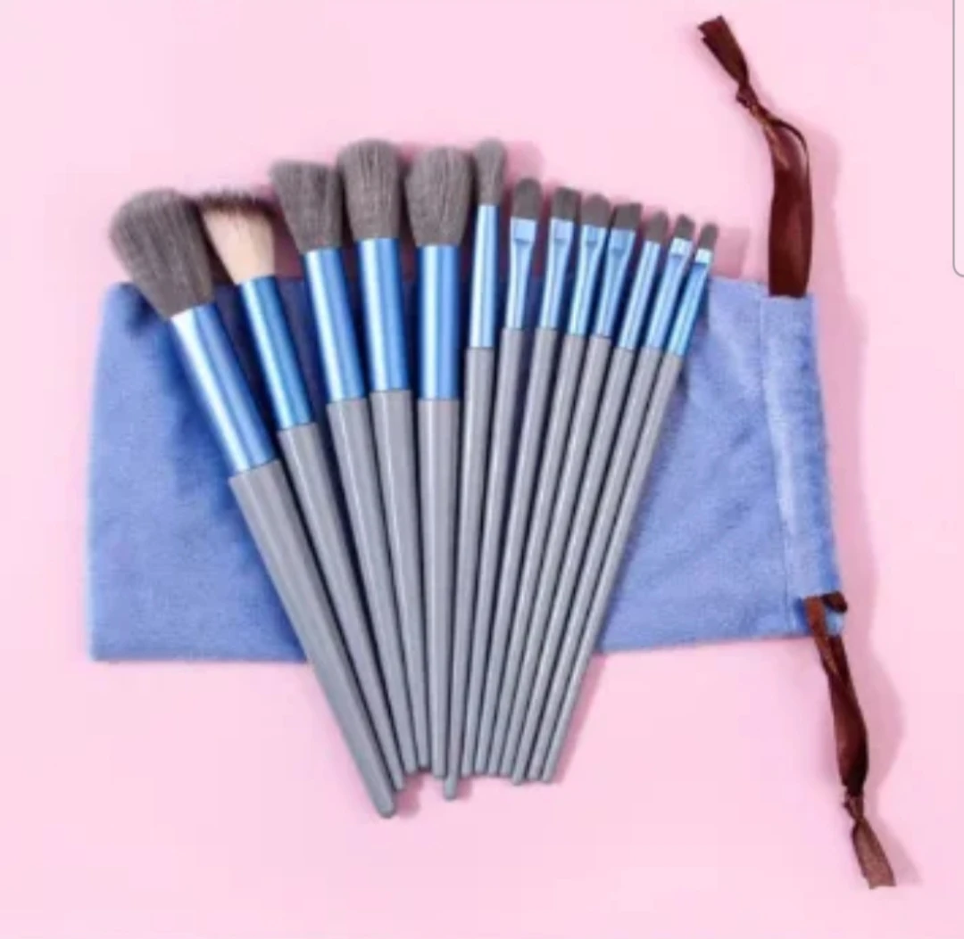 13 Piece Makeup Brush Set with Pouch