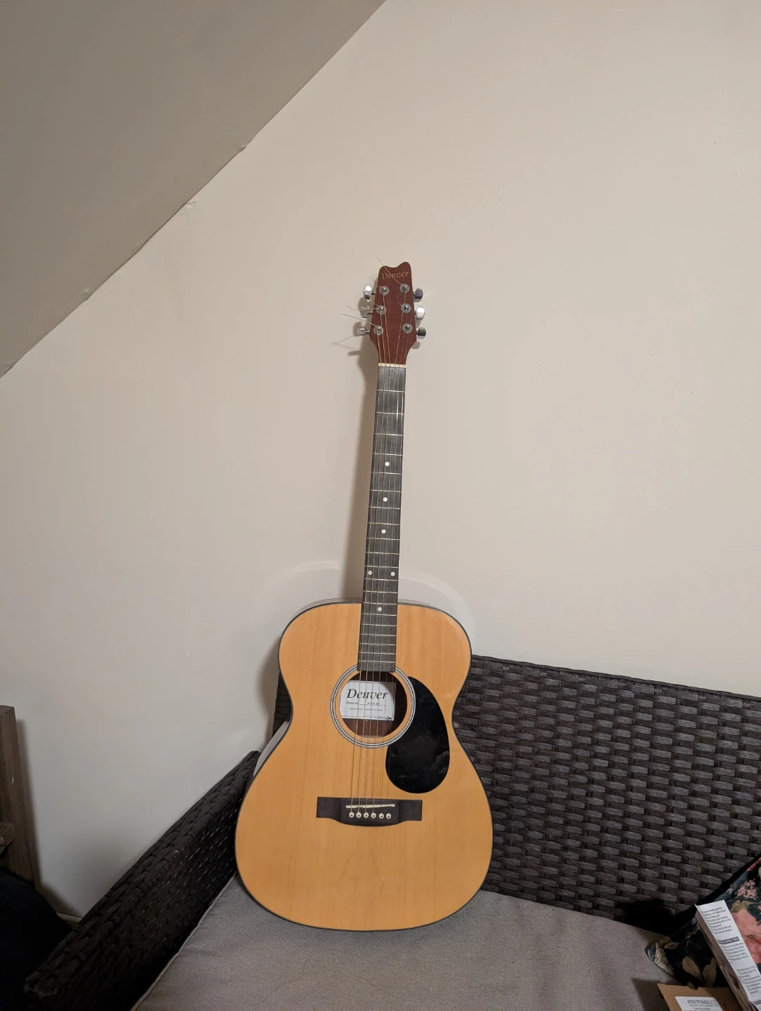 Denver Acoustic Guitar with Rouge Valley Case