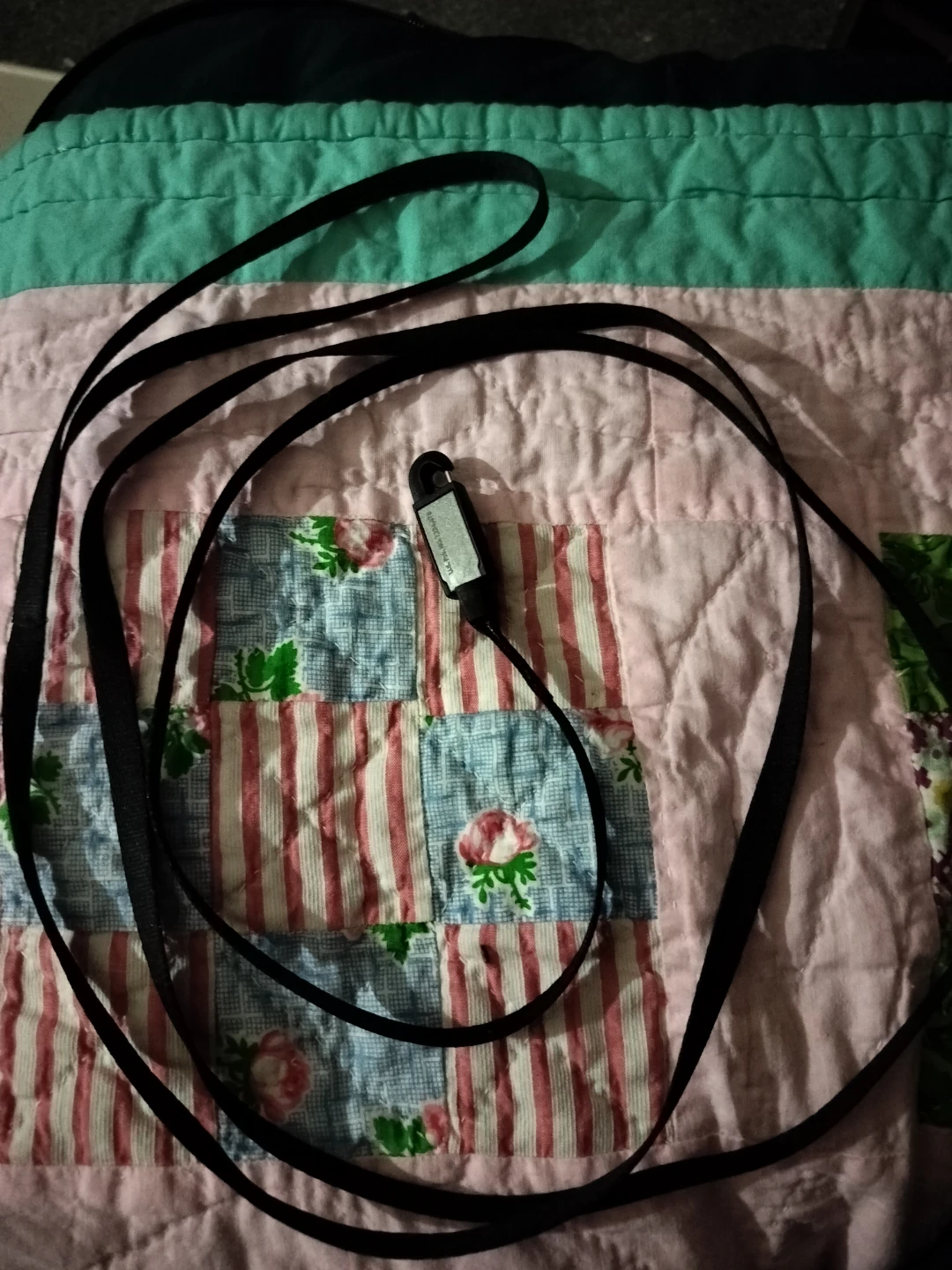 Small pet leash