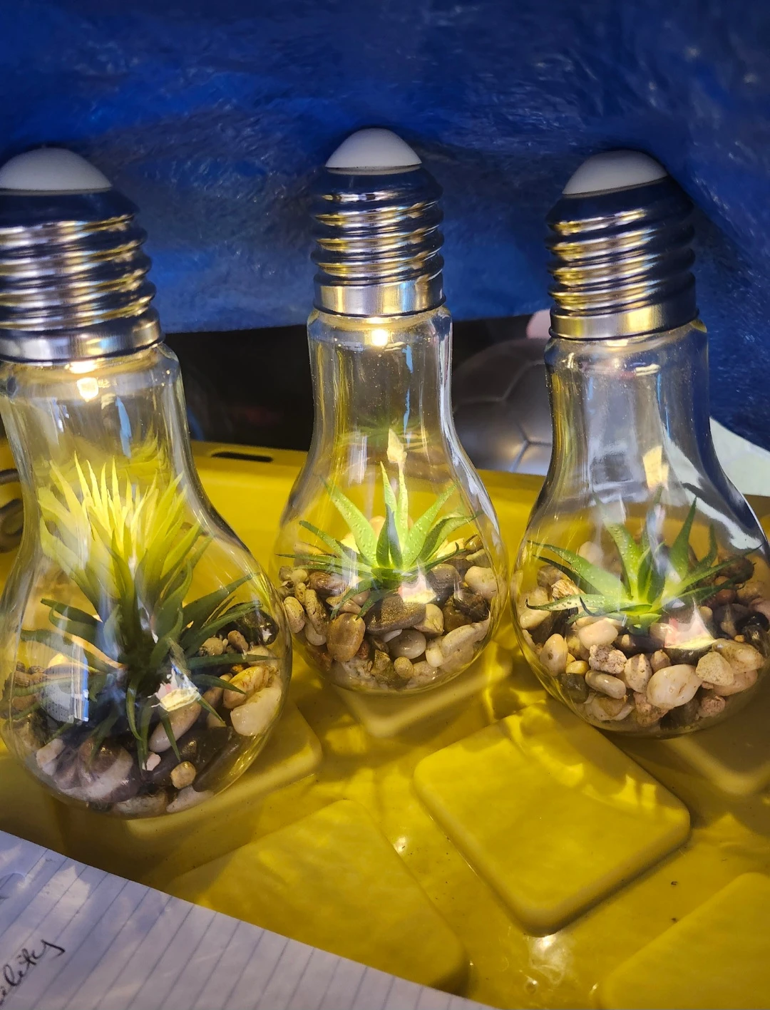 Light up ..Light Bulb Terrariums - Set of 3
