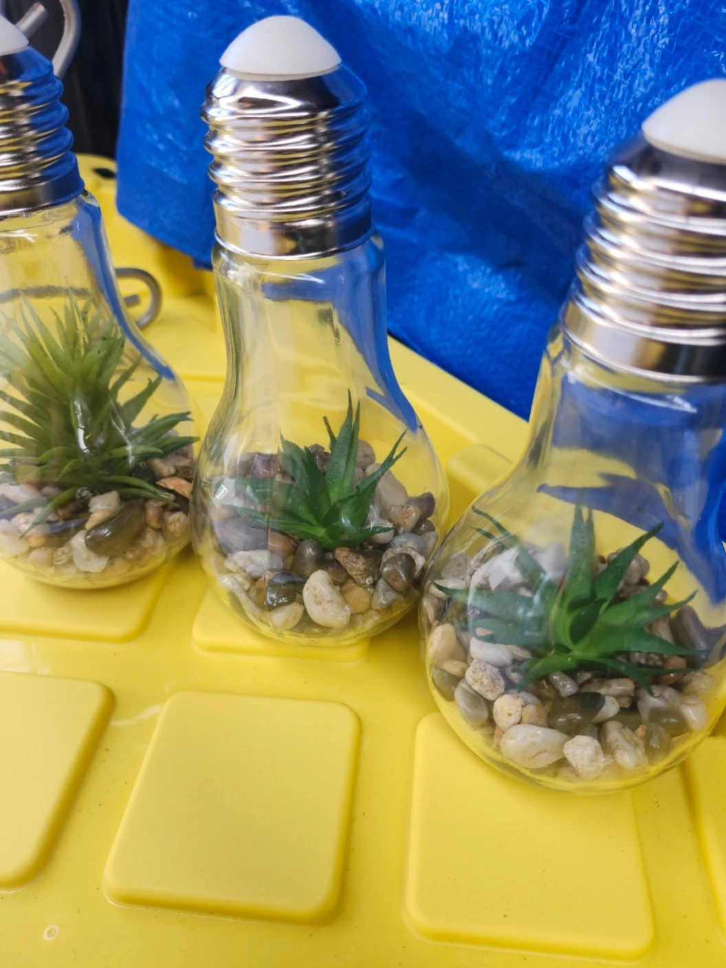 Light up ..Light Bulb Terrariums - Set of 3 - photo 2