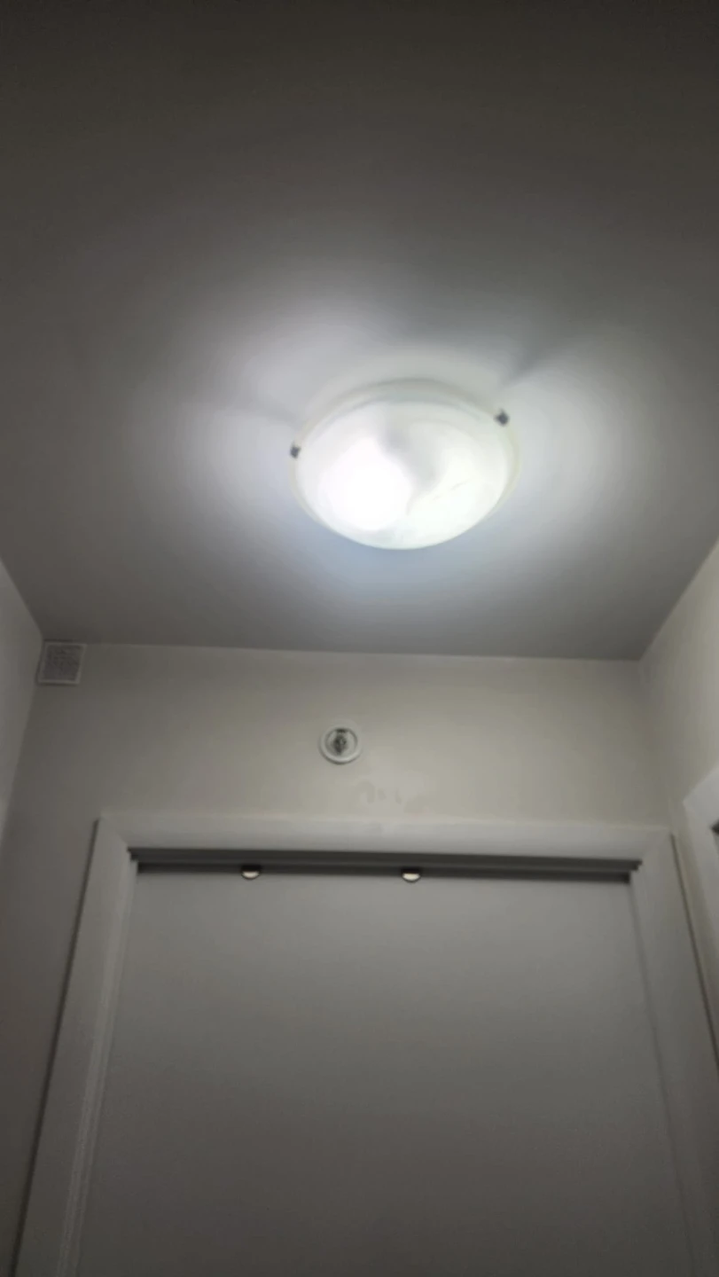 Flush Mount Ceiling Light & Philips LED Bulbs