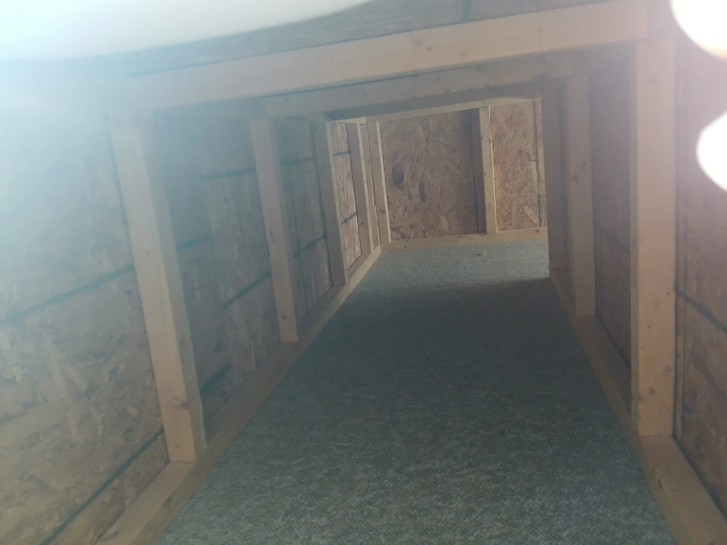 Pet Ramp and Platform - photo 3
