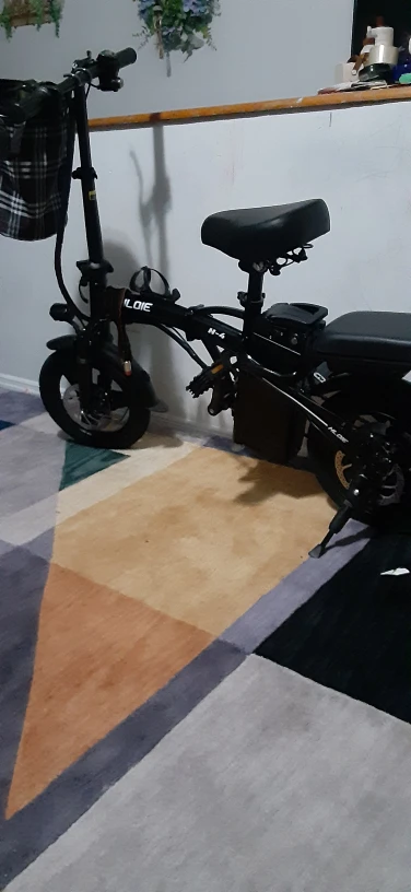 HILOIE H-4 Electric Bike - Compact & Foldable - photo 2