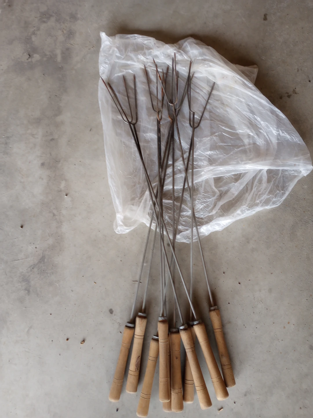 Set of 8 Metal Skewers with Wooden Handles