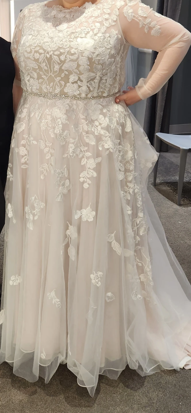 Plus size Wedding Dress - photo 3