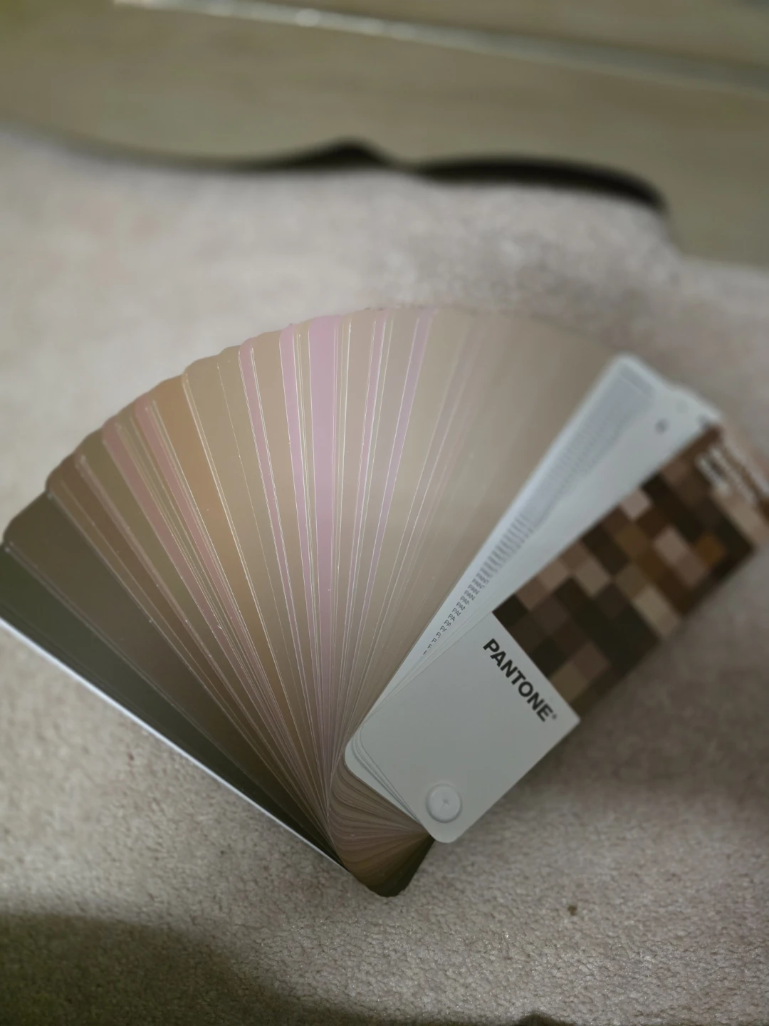 Pantone Color Guide Swatches (Multiple) - photo 4
