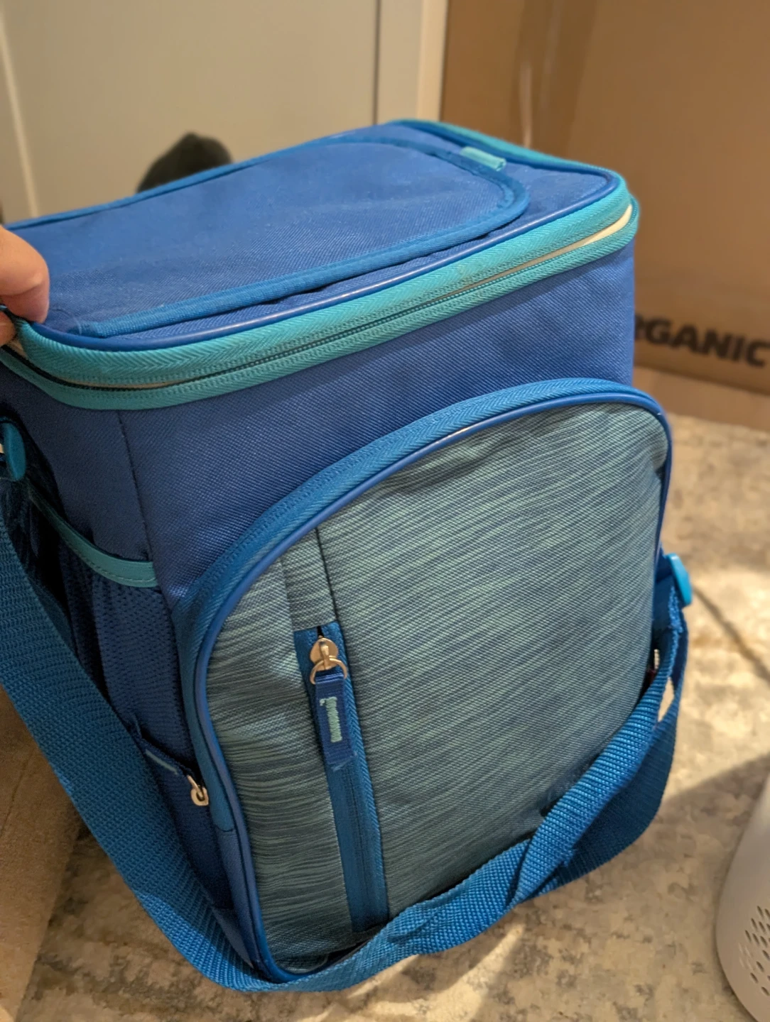 Blue Insulated Lunch Cooler Bag