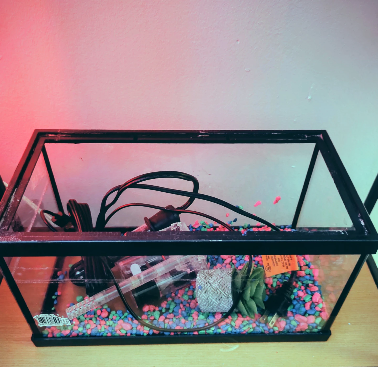 Glass Aquarium Tank with Accessories