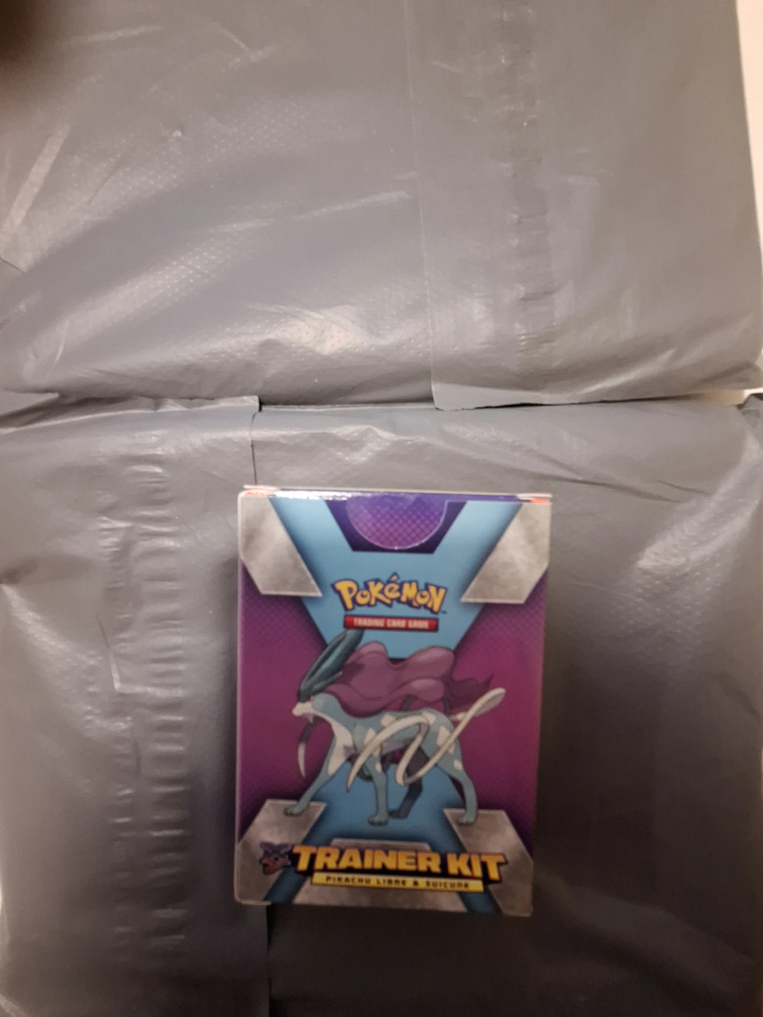 Pokémon Trainer Kit - Pikachu Libre & Suicune - photo 2