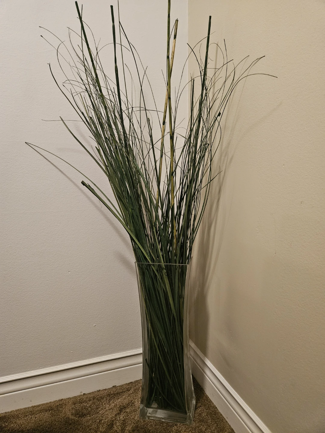 🥕 Tall Decorative Grass Arrangement in Vase- MOVING SALE!